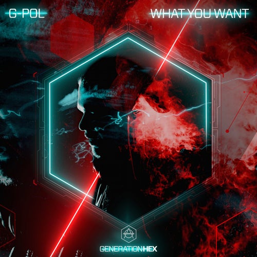 What You Want - Extended Version