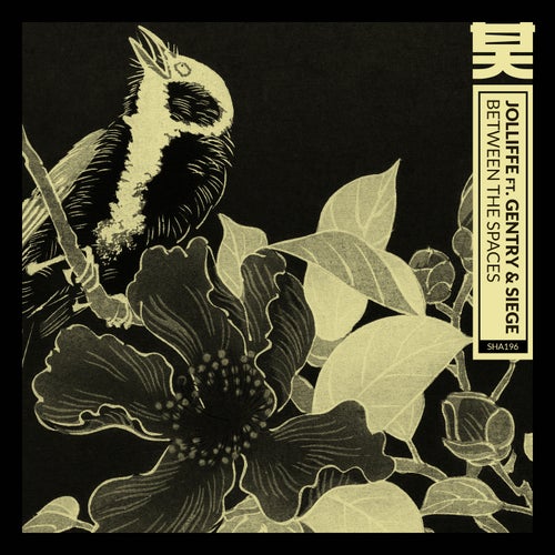 Cover art for Between the Spaces
