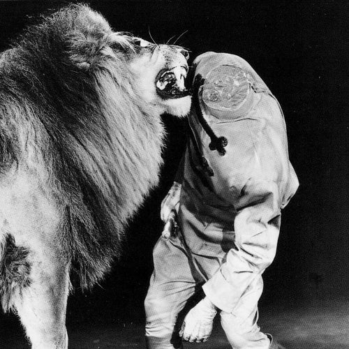 Cover art for Zipacon