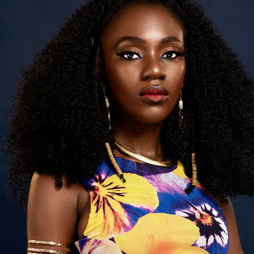 Wilhelmina Jane Austin Afrohouse Chart Wilhelmina Jane Austin Afrohouse Chart
