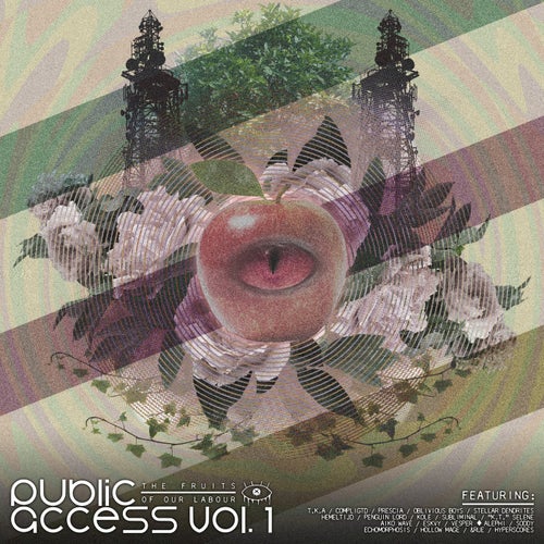 Public Access, Vol. 1