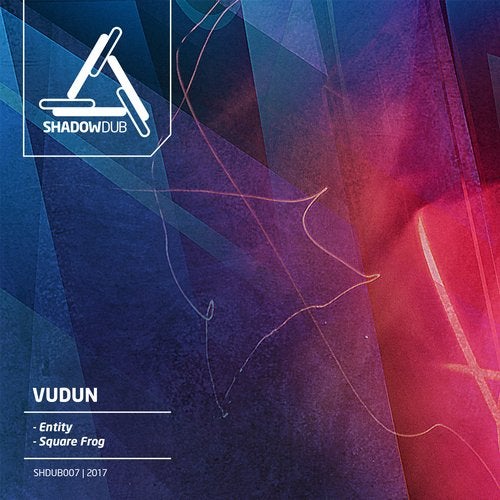 Cover art for Entity / Square Frog