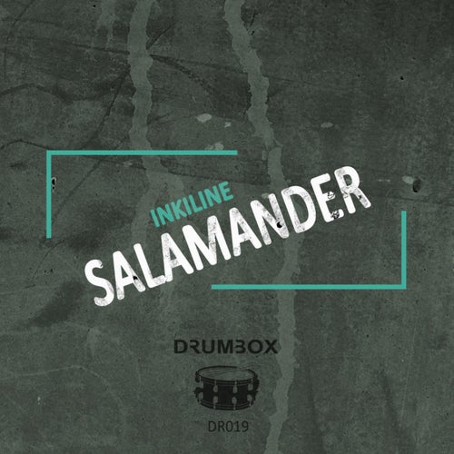 Salamander