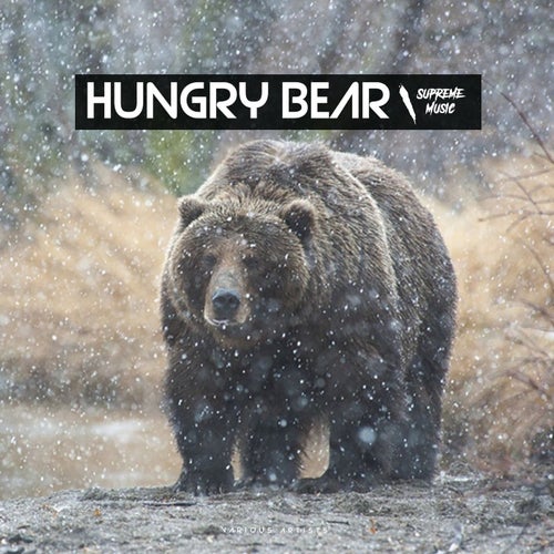 Hungry Bear