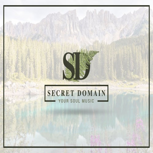 Secret Domain