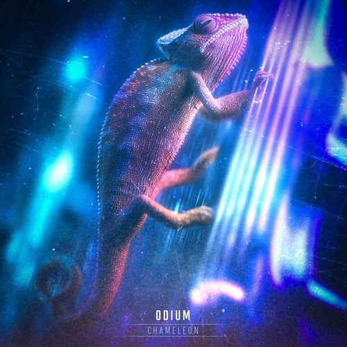 Chameleon