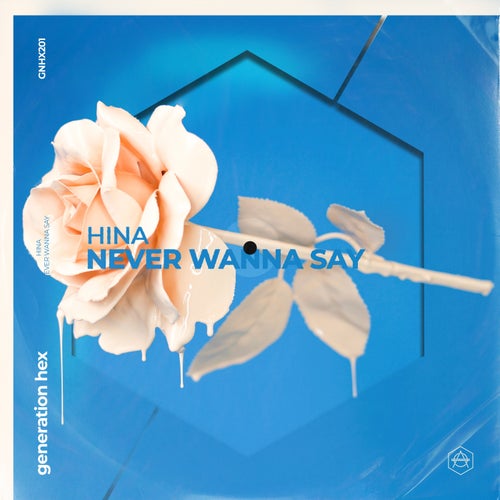 Never Wanna Say - Extended Mix