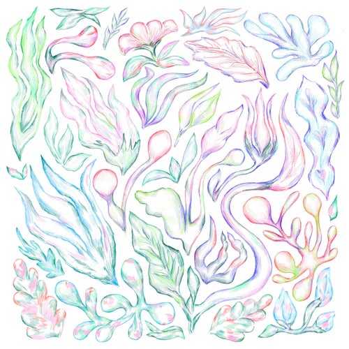 Plants Can Dance: Curated by Auntie Flo