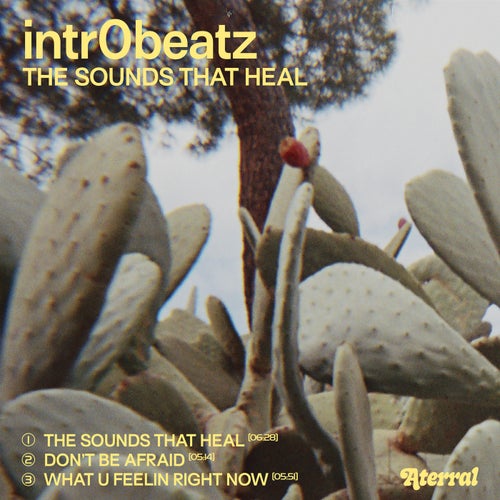  Intr0beatz - The Sounds That Heal (2024) 