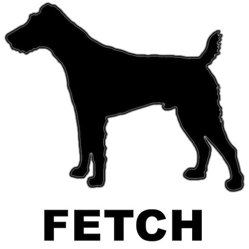 Fetch Records