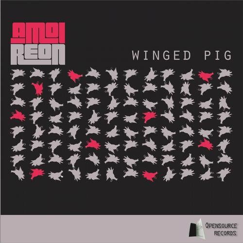 Winged Pig