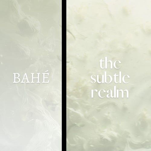 The Subtle Realm