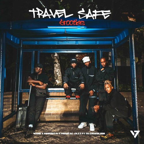 Travel Safe Grooties