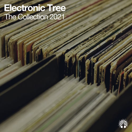 Cover art for The Collection 2021