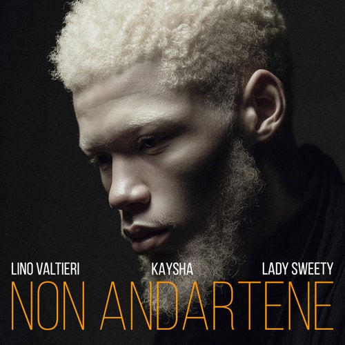 Non andartene