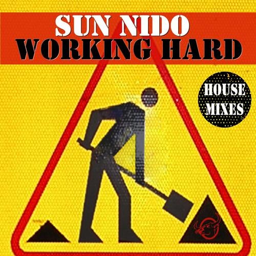 Working Hard - House Mixes