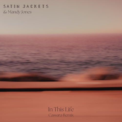 Cover art for In This Life