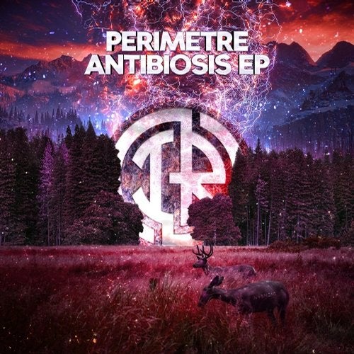 Perimetre - Antibiosis (EP) 2017