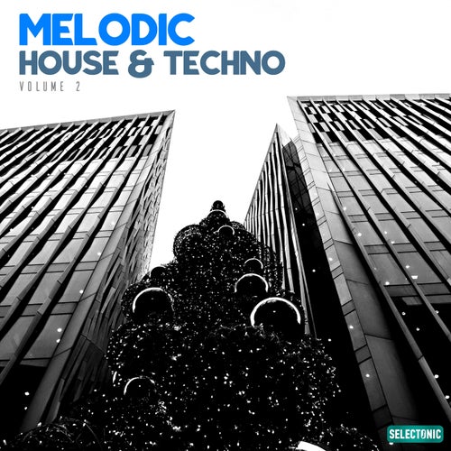 Melodic House & Techno, Vol. 2