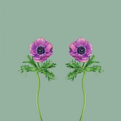 Qrion EP