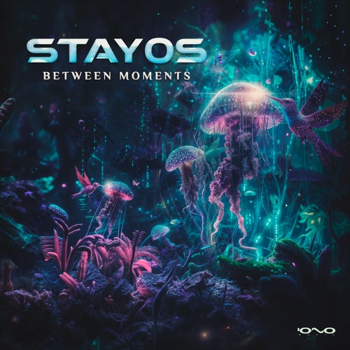  Stayos - Between Moments (2024) 