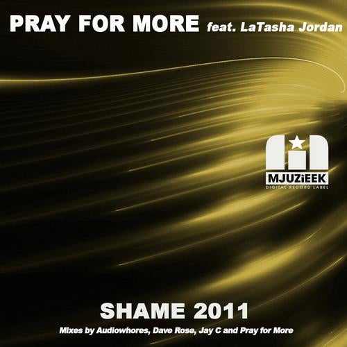 Shame 2011