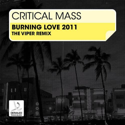 Burning Love 2011 (The Viper Remix)