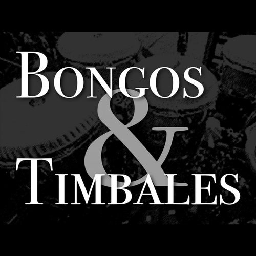 Bongos and Timbales
