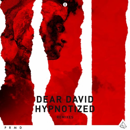 Hypnotized Remixes