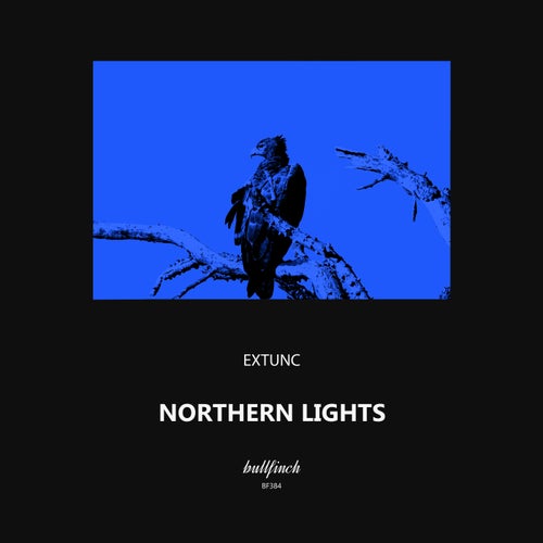  extunc - Northern Lights (2024) 