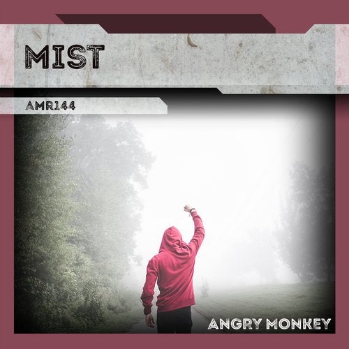 Cover art for Mist