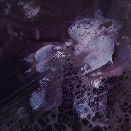 Blossom EP