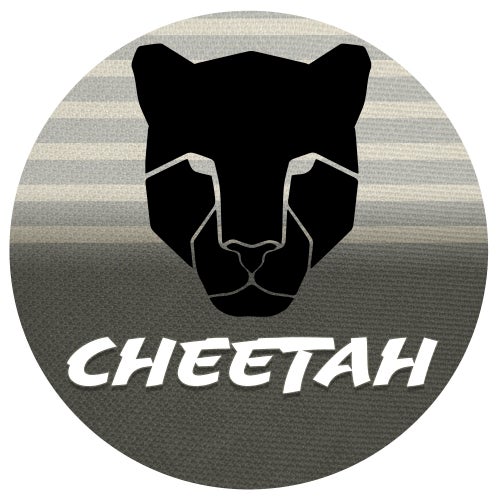 Cheetah Play