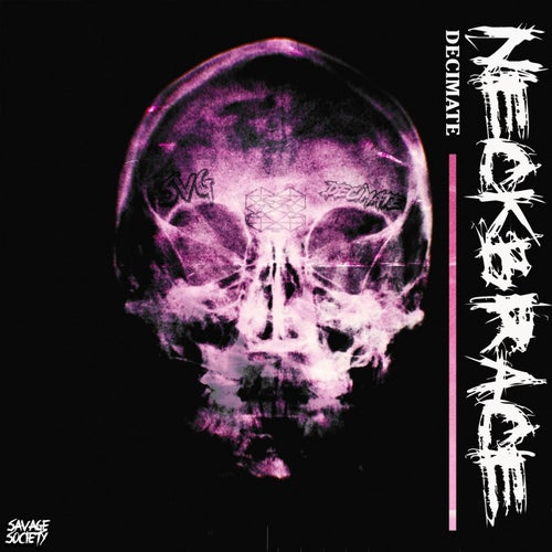 Neck Brace