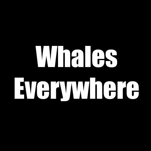 Whales Everywhere