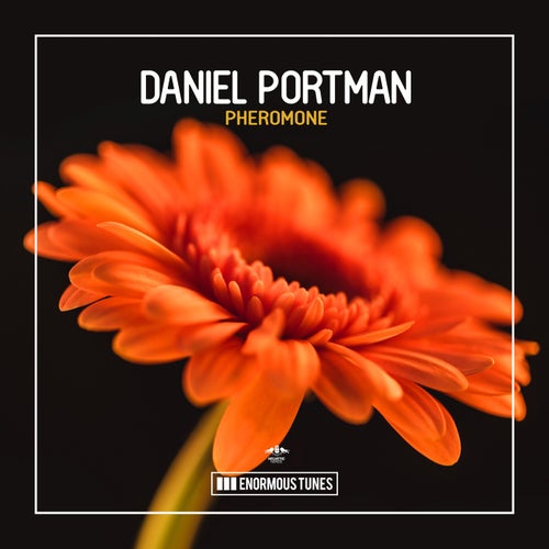  Daniel Portman - Pheromone (2023) 