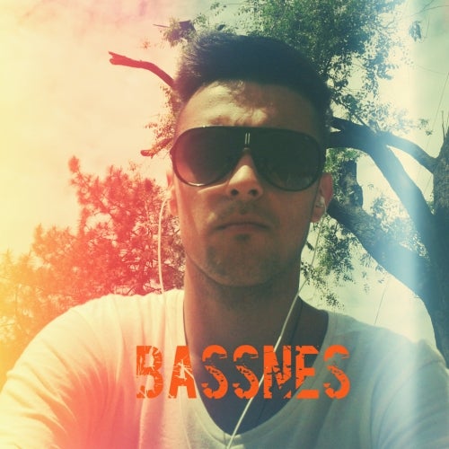 Bassnes