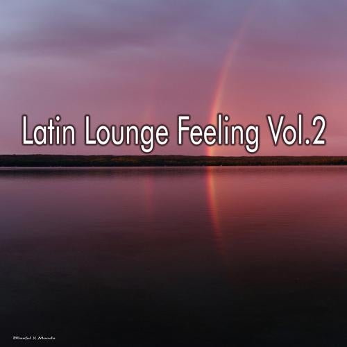 Latin Lounge Feelings Vol.2