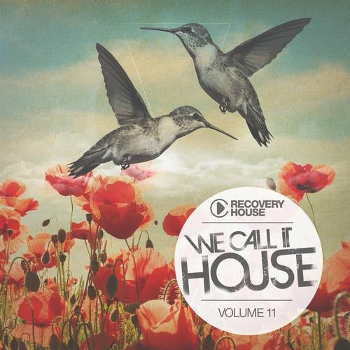 We Call It House Vol. 11