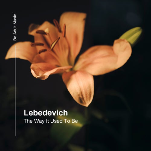 Lebedevich – The Way It Used To Be