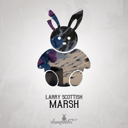 Marsh