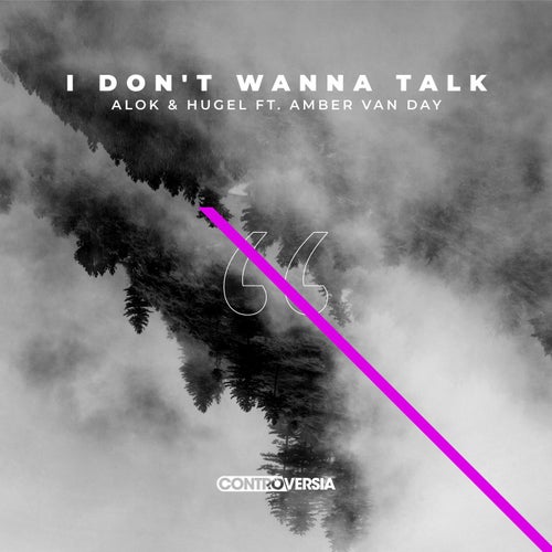 I Don't Wanna Talk (feat. Amber Van Day) (Extended Mix)