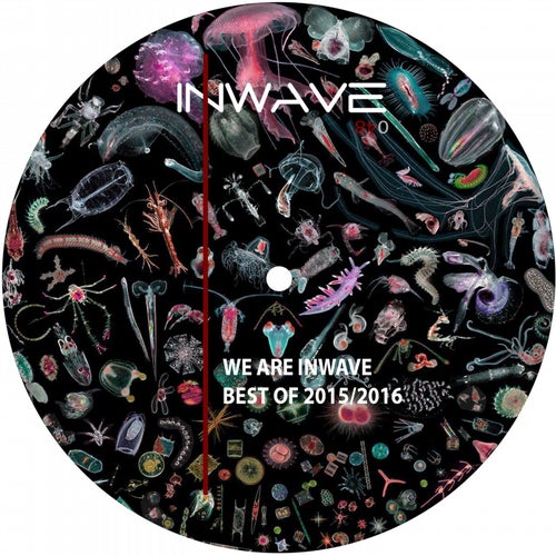 We Are Inwave Best Of 2015/2016