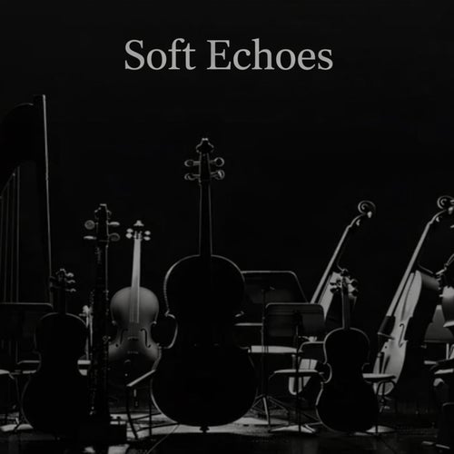 Soft Echoes