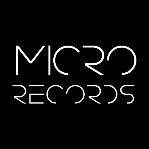 Micro Records