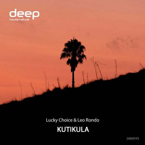 Kutikula