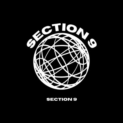 Section 9