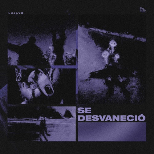 SE DESVANECIÓ