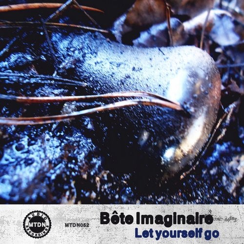 Cover art for Let Yourself Go