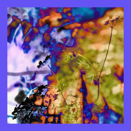 Today (Paradise Version)